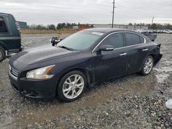 Salvage cars for sale at Tifton, GA auction: 2014 Nissan Maxima S