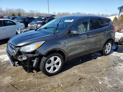 Salvage cars for sale at Louisville, KY auction: 2016 Ford Escape SE