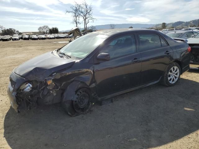 2009 Toyota Corolla Base