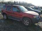 2007 Ford Escape XLT