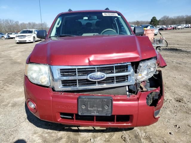 2009 Ford Escape XLT