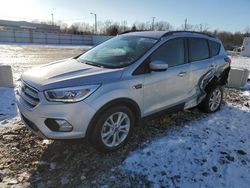 Salvage cars for sale at Louisville, KY auction: 2019 Ford Escape SEL