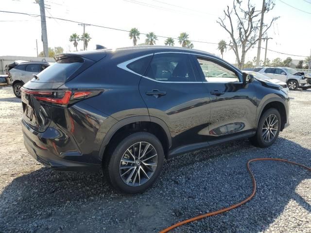 2023 Lexus NX 250