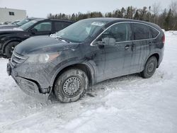 SUV salvage a la venta en subasta: 2014 Honda CR-V LX