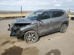 Salvage cars for sale at Albuquerque, NM auction: 2021 KIA Seltos EX