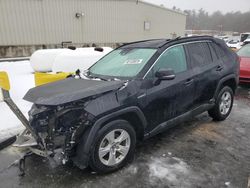 Toyota rav4 xle salvage cars for sale: 2020 Toyota Rav4 XLE