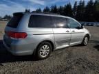 2008 Honda Odyssey EXL