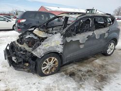 Salvage cars for sale at London, ON auction: 2017 Ford Escape SE