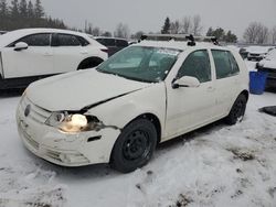 Salvage cars for sale at Bowmanville, ON auction: 2009 Volkswagen City Golf