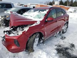 Salvage cars for sale at Montreal Est, QC auction: 2024 Ford Escape ST Line Select