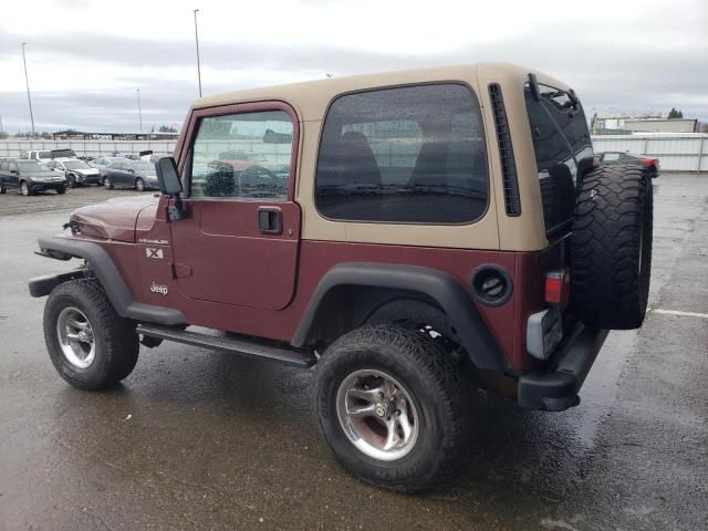 2002 Jeep Wrangler / TJ X