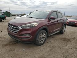 Salvage cars for sale at Tucson, AZ auction: 2017 Hyundai Tucson Limited