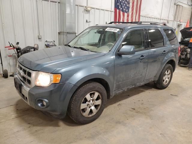 2010 Ford Escape Limited