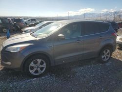 Salvage cars for sale at Magna, UT auction: 2013 Ford Escape SE