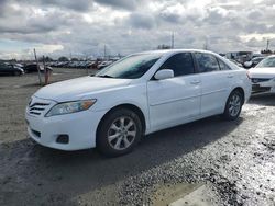 Salvage cars for sale at Eugene, OR auction: 2011 Toyota Camry Base