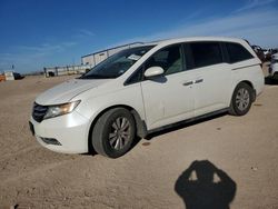 Salvage cars for sale at Amarillo, TX auction: 2014 Honda Odyssey EXL