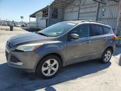 Ford Escape se salvage cars for sale: 2013 Ford Escape SE