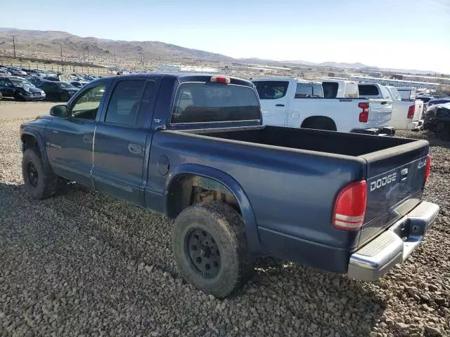 2001 Dodge Dakota Quattro