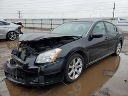 Nissan Maxima salvage cars for sale: 2007 Nissan Maxima SE