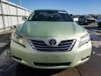 2009 Toyota Camry Hybrid