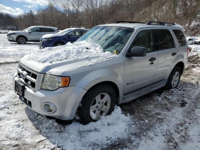 2010 Ford Escape Hybrid