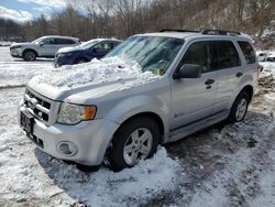 2010 Ford Escape Hybrid en venta en Marlboro, NY