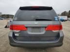 2010 Honda Odyssey EXL