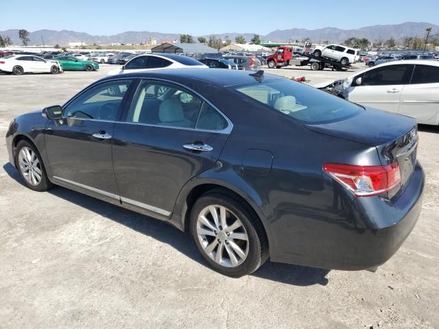 2011 Lexus ES 350