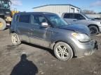 2010 KIA Soul +