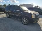 2007 Cadillac Escalade Luxury