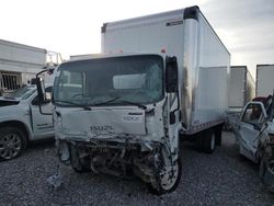 Salvage trucks for sale at North Las Vegas, NV auction: 2023 Isuzu NPR HD