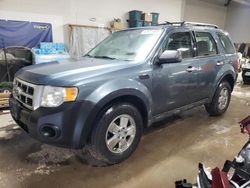 Ford Vehiculos salvage en venta: 2010 Ford Escape XLS