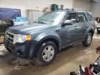 2010 Ford Escape XLS