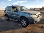 2007 Ford Escape XLT