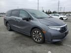 2023 Honda Odyssey EXL