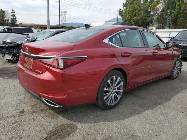 2019 Lexus ES 350