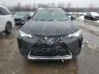 2019 Lexus UX 250H