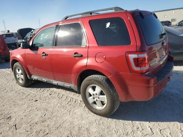 2012 Ford Escape XLT