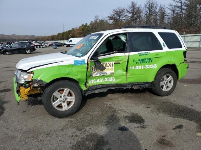 2012 Ford Escape Hybrid