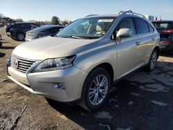 Salvage cars for sale at Pennsburg, PA auction: 2013 Lexus RX 350