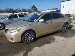 Salvage cars for sale at Shreveport, LA auction: 2010 Toyota Camry Base