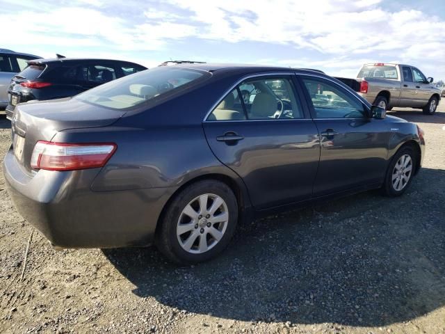 2009 Toyota Camry Hybrid