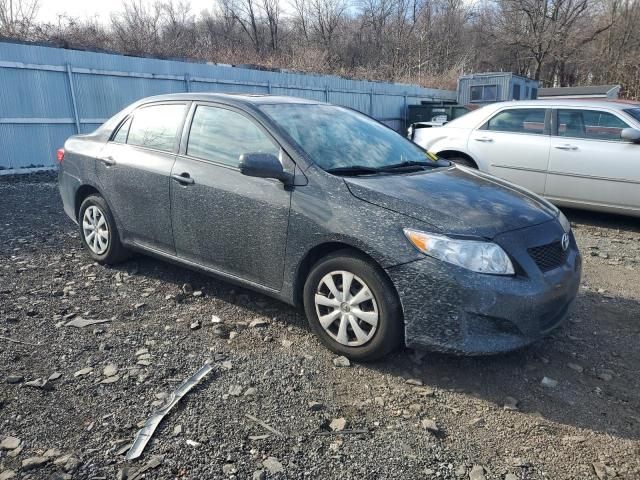 2010 Toyota Corolla Base