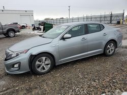 Carros salvage a la venta en subasta: 2015 KIA Optima Hybrid