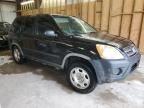 2006 Honda CR-V LX