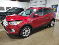 Salvage cars for sale at Blaine, MN auction: 2018 Ford Escape SE