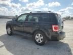 2008 Ford Escape HEV