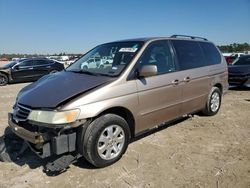 Salvage cars for sale at Houston, TX auction: 2004 Honda Odyssey EX