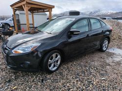 Ford Focus salvage cars for sale: 2014 Ford Focus SE