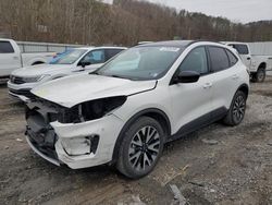 Salvage cars for sale at Hurricane, WV auction: 2020 Ford Escape SE Sport